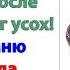 Эта ситуация не стала уроком для свекрови Она поссорилась с сыном и он прекратил с ней общаться