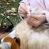 Angora Bunny Spinning