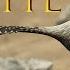 Colony Of The Sun Deinonychus Documentary ShortFilm