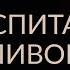 НЕсекреты ВОСПИТАНИЯ КАК ВОСПИТАТЬ СЧАСТЛИВОГО РЕБЁНКА Адакофе 24