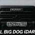 Две собаки Отзыв о HAVAL BIG DOG Dargo X Знакомство с Айбо Первый выезд сезона