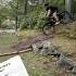 MTB Drop