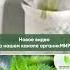 Крапива Показания полезные свойства и противопоказания органикМИРЪ