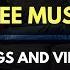 Free Music For Vlogs Baoj Sunrise