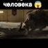 лев оказался на свободе и съел человека название фильма Жадность 2019 Greed
