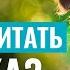 ЩЕНОК КУСАЕТСЯ Воспитание щенка БЕЗ АГРЕССИИ решение проблемы кусательного поведения