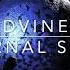 Dvine Eternal State Sounds Explorer