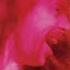 Ramblin Gamblin Man Live In Detroit 1975