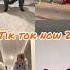 Coincidance Who S The Best 1 2 3 Or 4 Shorts Tiktok Viral