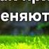 Как привычки меняют жизнь Книга Атомные привычки Джеймс Клир