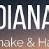 DJ Snake Hamza Diana Lyrics