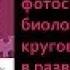 Биология 9 класс Значение фотосинтеза и биологического круговорота веществ в развитии жизни