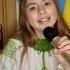 Гілля калин похилилося не твоя війна Cover By SOFIK