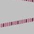 Nut MIDI Series CreeperNut Series Revamped
