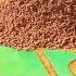 What S Inside An Anthill