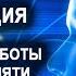 Медитация на улучшение работы мозга и памяти Подарок взрослым и школьникам к 1 сентября