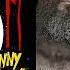 WWE Mashup Bet On Survival Johnny Gargano Tommaso Champa
