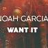 Noah Garcia Want It Radio Mix Deep House