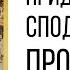 Придерживайся сподвижников Пророка ﷺ НазратуЛлах абу Марьям