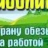 Доктор Айболит часть 1 Путешествие в страну обезьян глава 3 Доктор за работой Аудиосказка