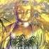 Oliver Shanti Friend Buddha And Bonsai Vol 3