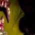Annihilation 2018 The Mutant Bear Scene 5 10 Movieclips