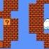 30 не самых известных фактов о Super Mario Bros