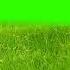 Grass Image Green Screen Video Free Download Free Copyright