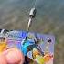 Fishing With Pokémon Cards Pokemoncards Crownzenith Fishing Funny Ocean