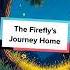 The Firefly S Journey Home BedtimeStory Firefly