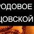 РОДОВОЕ ПРОКЛЯТИЕ ПО ОТЦОВСКОЙ ЛИНИИ ОТЧИТКА