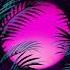 David Guetta Sia Flames Extended