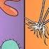 Protists And Fungi