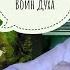 ТРИ ДНЯ ТРИ КНИГИ ТРИЛОГИЯ ПЁС ВОЙНЫ РАЗРУШЕНИЕ ОЖИДАНИЙ
