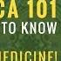 AYAHUASCA 101 What You Need To Know About Plant Spirit Medicine Rachel Harris PhD