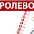 Профиль 4 6 Оппортунист Ролевая модель Правила жизни Дизайн Человека