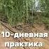 10 дневная практика Пробуждение внутреннего целителя 1 ДЕНЬ кундалини энергия тантра