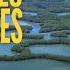 Seagrasses And Mangroves Full Episode