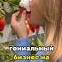 КЛУБНИКА БЕЗЛИМИТНО ГЕНИАЛЬНЫЙ БИЗНЕС из Европы Идея для Зеленого Туризма и Эко Бизнеса