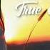 DJ GROSSU True Feelings Amazing Balkanik Instrumental Music Official Song