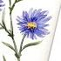 Watercolour Asters How To Draw And Paint SEPTEMBER S Birth Month Flower