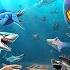 HUNGRY SHARK ALL MOVIE TRAILER SHORTS COMPILATION 5 Hungry Shark Evolution Vs Hungry Shark World