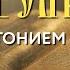 Толкование Евангелия с митрополитом Антонием Паканичем Петров пост Пятница 20 июня 2025 года
