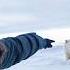 Face To Face With Wild Polar Bears