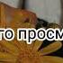 𝐀𝐝𝐚𝐦 Давай не болей 𝐬𝐥𝐨𝐰𝐞𝐝 𝐥𝐲𝐫𝐢𝐜𝐬 Adam
