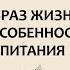 Алексей Москалев Как стать долгожителем Образ жизни и особенности питания