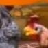 Nickelodeon Bumper Farm Animals CD