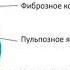 Остеохондроз межпозвонковые грыжи артроз тазобедренного сустава Профилактика и лечение