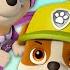 Щенячий патруль Лучшие моменты команды 30 минут Nick Jr Cyrillic