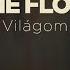 Follow The Flow Világom OFFICIAL MUSIC VIDEO